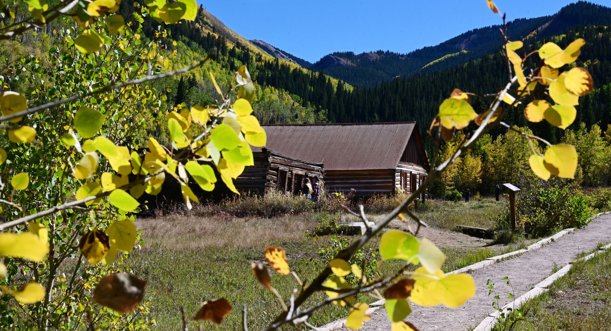 092821-news-aspens 14.JPG
